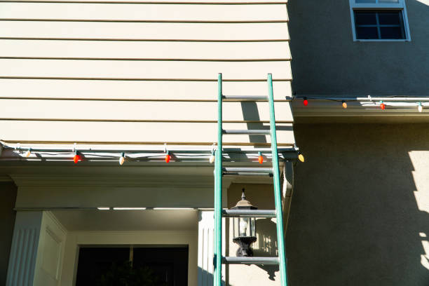 Best Historical Building Siding Restoration  in Oakfield, WI