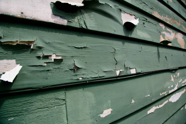Storm Damage Siding Repair in Oakfield, WI