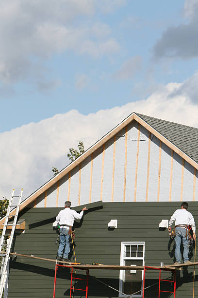 Best Stone Veneer Siding  in Oakfield, WI